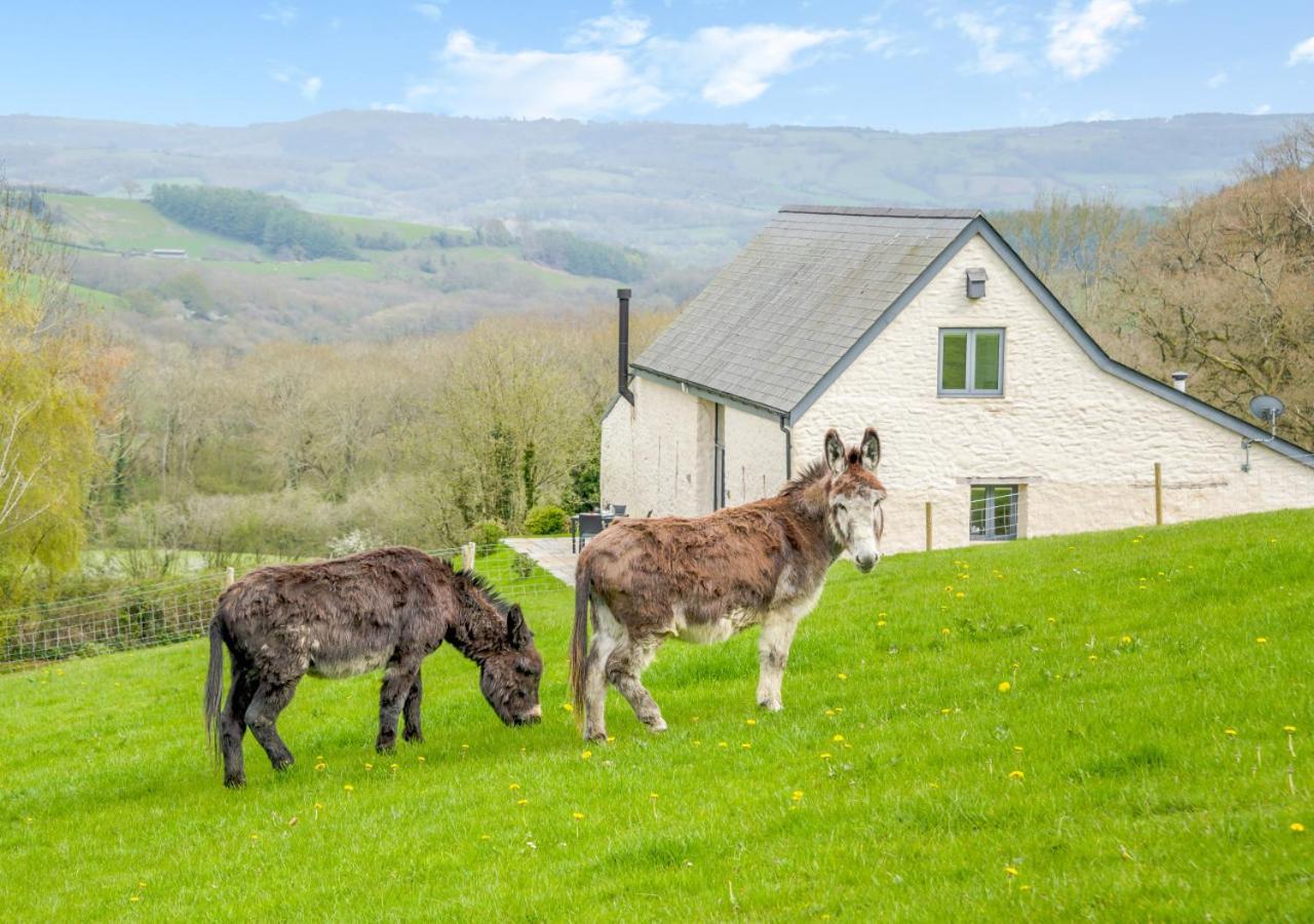 Llanbadoc Usk Barn 아파트 외부 사진